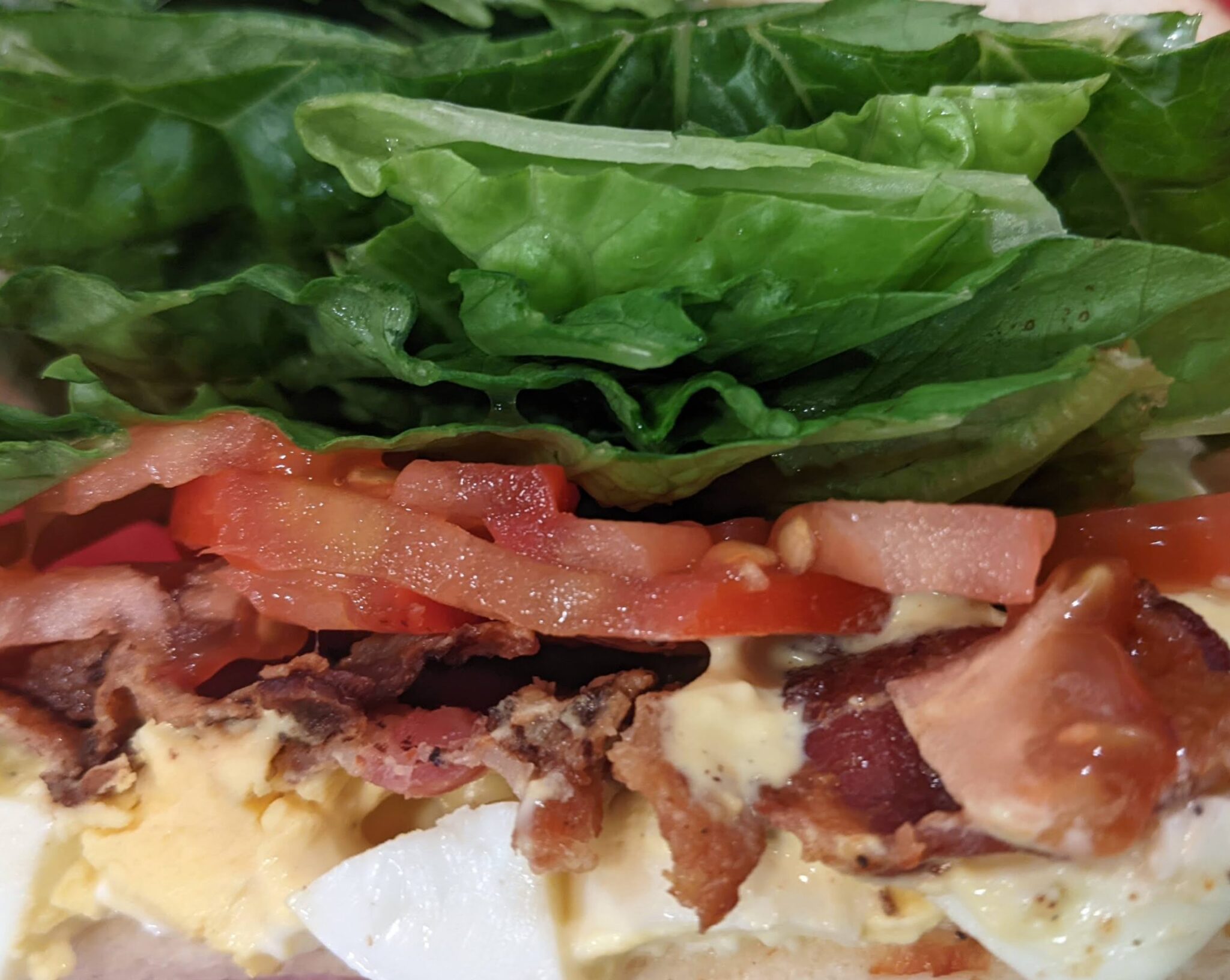 EBLT Sandwich